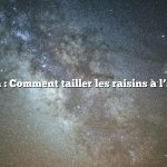 Question : Comment tailler les raisins à l’automne